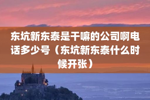 东坑新东泰是干嘛的公司啊电话多少号(东坑新东泰什么时候开张) 东坑新东泰是干嘛的公司啊电话多少号(东坑新东泰什么时候开张)
