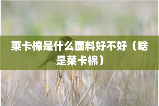 莱卡棉是什么面料好不好（啥是莱卡棉）