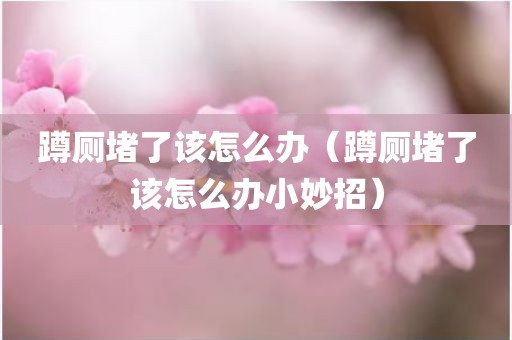 蹲厕堵了该怎么办（蹲厕堵了该怎么办小妙招）
