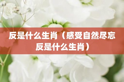 反是什么生肖（感受自然尽忘反是什么生肖）