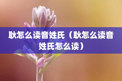 耿怎么读音姓氏(耿怎么读音姓氏怎么读)