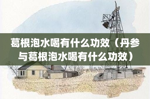 葛根泡水喝有什么功效（丹参与葛根泡水喝有什么功效）