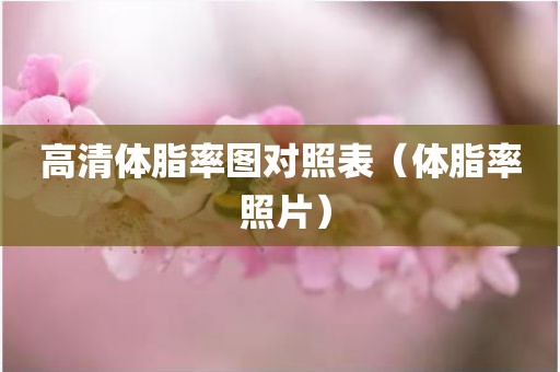 高清体脂率图对照表（体脂率 照片）