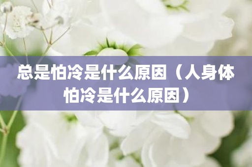 总是怕冷是什么原因（人身体怕冷是什么原因）