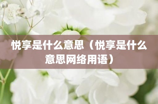 悦享是什么意思（悦享是什么意思网络用语）