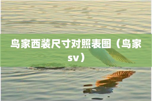 鸟家西装尺寸对照表图（鸟家sv）