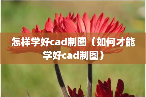 怎样学好cad制图（如何才能学好cad制图）