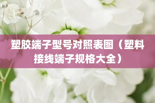 塑胶端子型号对照表图（塑料接线端子规格大全）