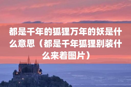 都是千年的狐狸万年的妖是什么意思（都是千年狐狸别装什么来着图片）
