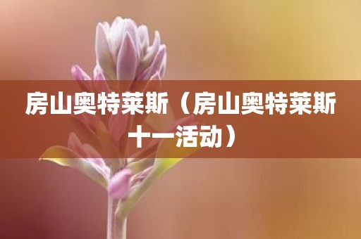 房山奥特莱斯（房山奥特莱斯十一活动）
