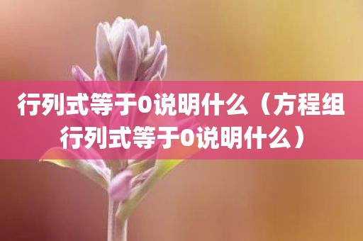 行列式等于0说明什么（方程组行列式等于0说明什么）