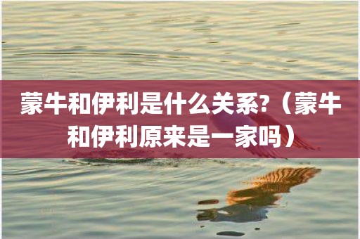 蒙牛和伊利是什么关系?(蒙牛和伊利原来是一家吗)