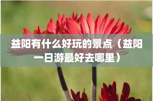 益阳有什么好玩的景点（益阳一日游最好去哪里）