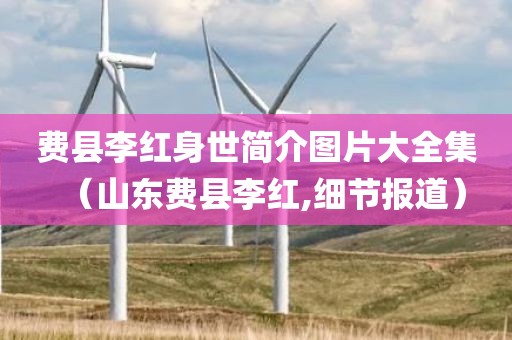 费县李红身世简介图片大全集（山东费县李红,细节报道）