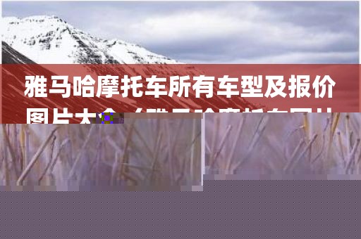雅马哈摩托车所有车型及报价图片大全（雅马哈摩托车图片及售价）