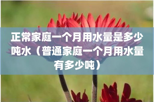 正常家庭一个月用水量是多少吨水（普通家庭一个月用水量有多少吨）