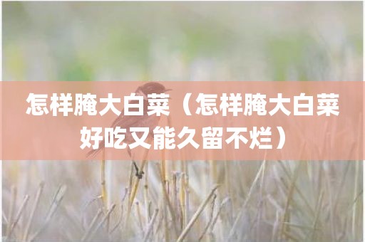 怎样腌大白菜（怎样腌大白菜好吃又能久留不烂）