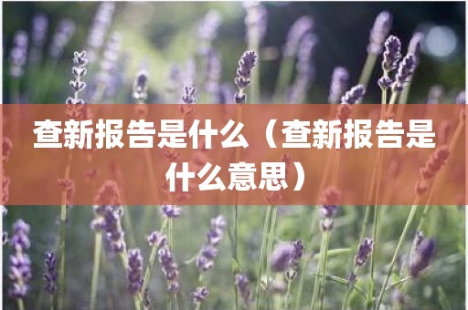 查新报告是什么（查新报告是什么意思）