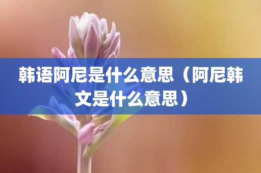 韩语阿尼是什么意思（阿尼韩文是什么意思）