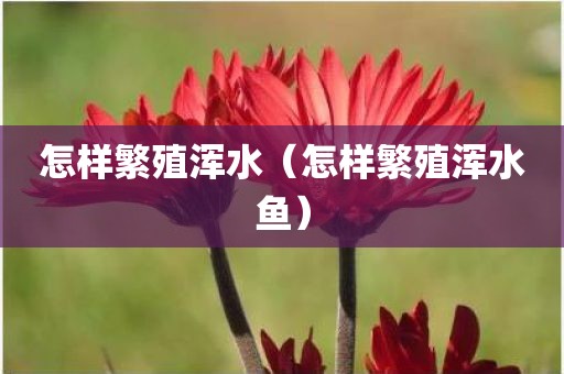 怎样繁殖浑水（怎样繁殖浑水鱼）