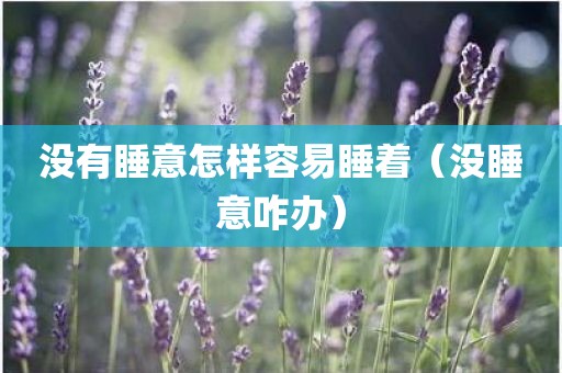 没有睡意怎样容易睡着（没睡意咋办）