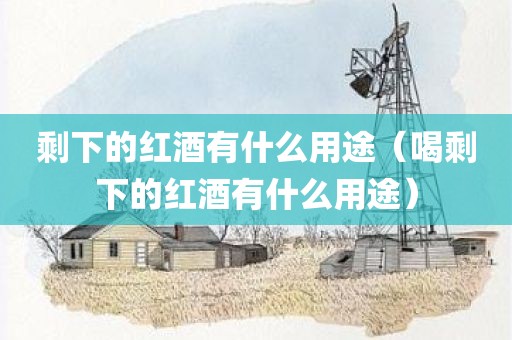 剩下的红酒有什么用途（喝剩下的红酒有什么用途）