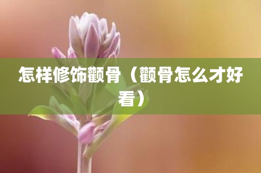 怎样修饰颧骨（颧骨怎么才好看）