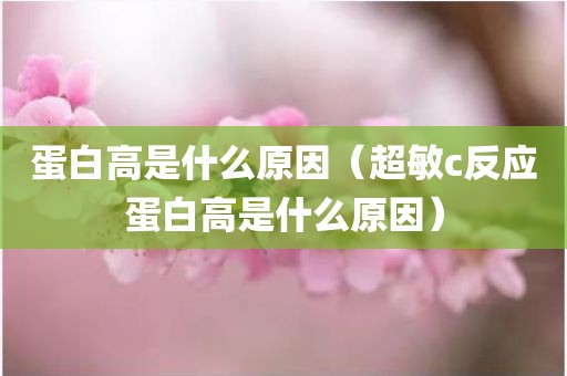 蛋白高是什么原因(超敏c反应蛋白高是什么原因)