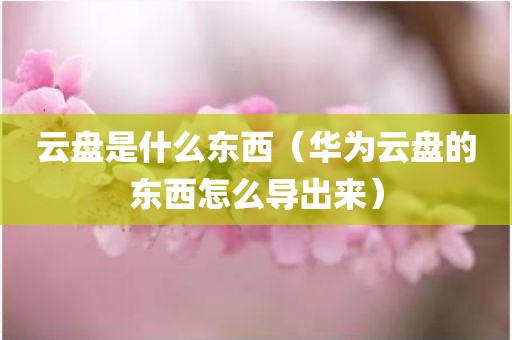 云盘是什么东西（华为云盘的东西怎么导出来）