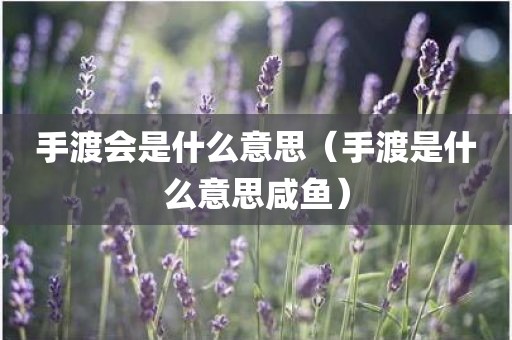 手渡会是什么意思（手渡是什么意思咸鱼）