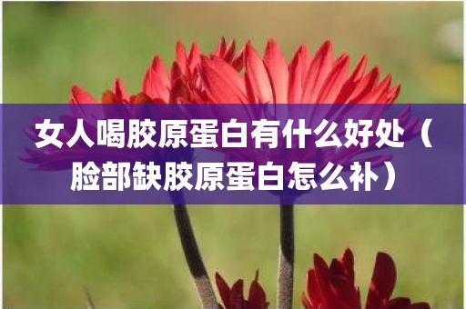 女人喝胶原蛋白有什么好处（脸部缺胶原蛋白怎么补）