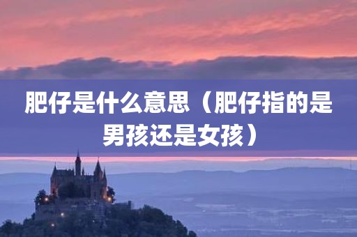 肥仔是什么意思（肥仔指的是男孩还是女孩）