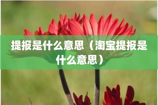 提报是什么意思（淘宝提报是什么意思）