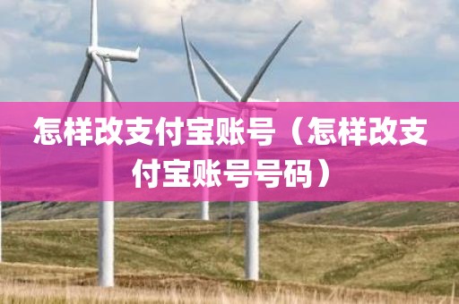 怎样改支付宝账号（怎样改支付宝账号号码）
