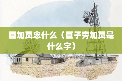 臣加页念什么（臣子旁加页是什么字）
