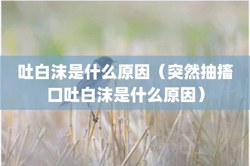 吐白沫是什么原因（突然抽搐口吐白沫是什么原因）