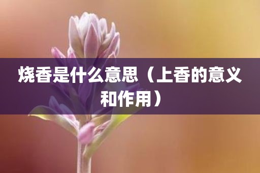 烧香是什么意思（上香的意义和作用）