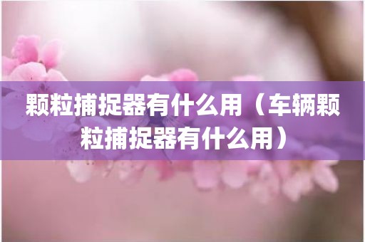 颗粒捕捉器有什么用（车辆颗粒捕捉器有什么用）