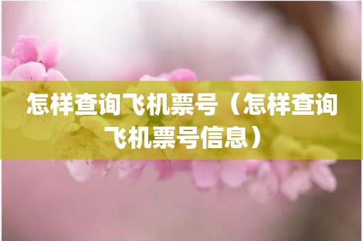 怎样查询飞机票号（怎样查询飞机票号信息）