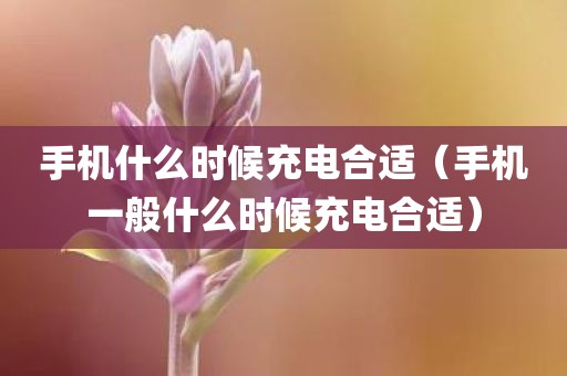 手机什么时候充电合适（手机一般什么时候充电合适）