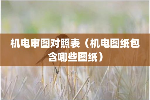 机电审图对照表（机电图纸包含哪些图纸）