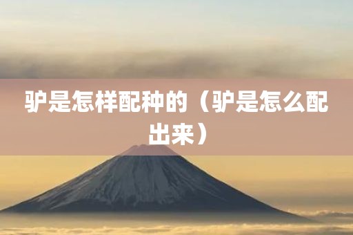 驴是怎样配种的（驴是怎么配出来）