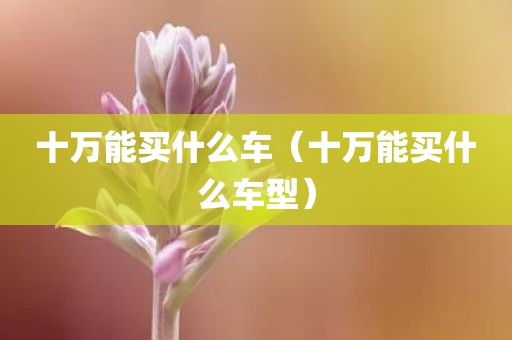 十万能买什么车（十万能买什么车型）