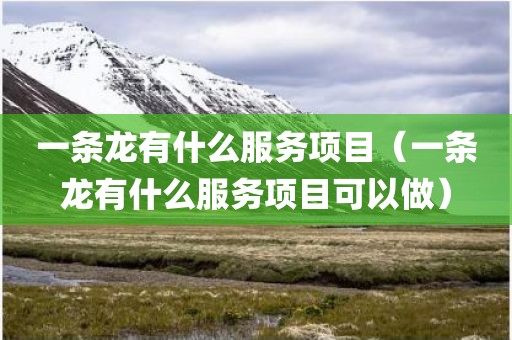 一条龙有什么服务项目（一条龙有什么服务项目可以做）