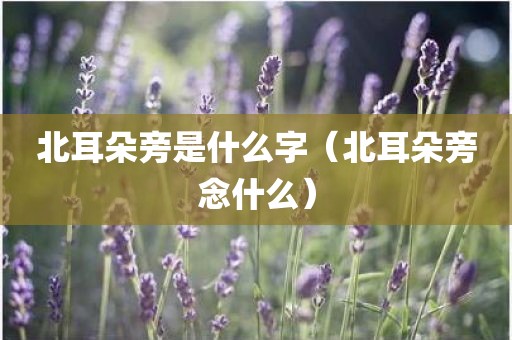 北耳朵旁是什么字（北耳朵旁念什么）