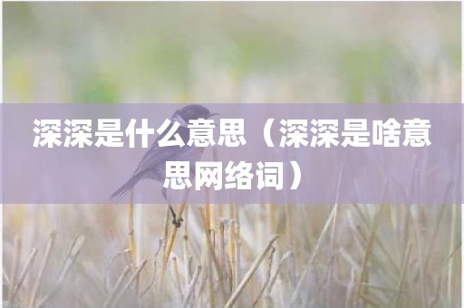 深深是什么意思(深深是啥意思网络词)