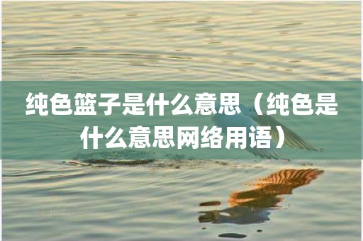 纯色篮子是什么意思（纯色是什么意思网络用语）