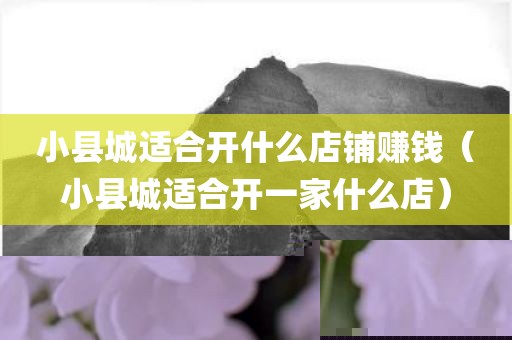 小县城适合开什么店铺赚钱（小县城适合开一家什么店）