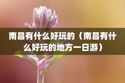 南昌有什么好玩的（南昌有什么好玩的地方一日游）