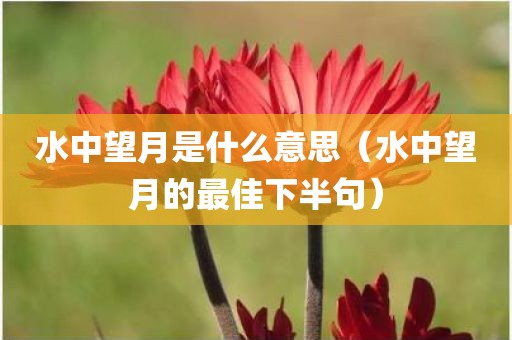 水中望月是什么意思（水中望月的最佳下半句）